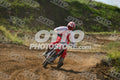 958 · DSH_7571