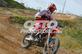 958 · DSH_7584