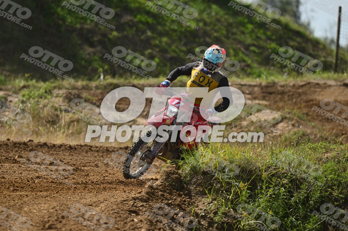17 · DSH_7585