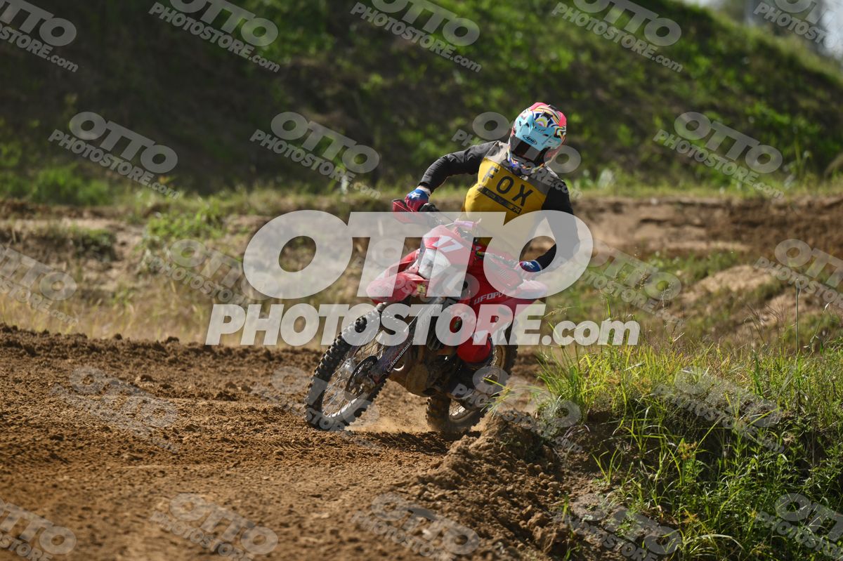 17 · DSH_7586