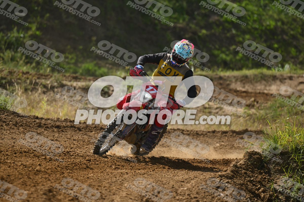 17 · DSH_7587