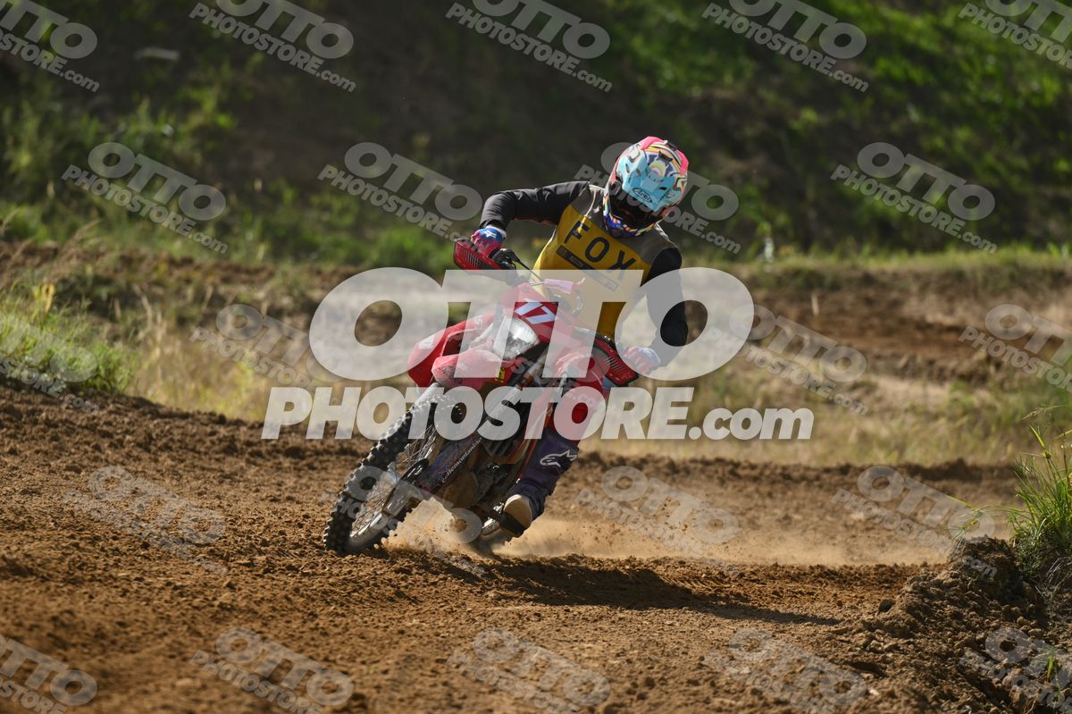 17 · DSH_7588