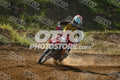 17 · DSH_7589