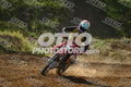 17 · DSH_7590