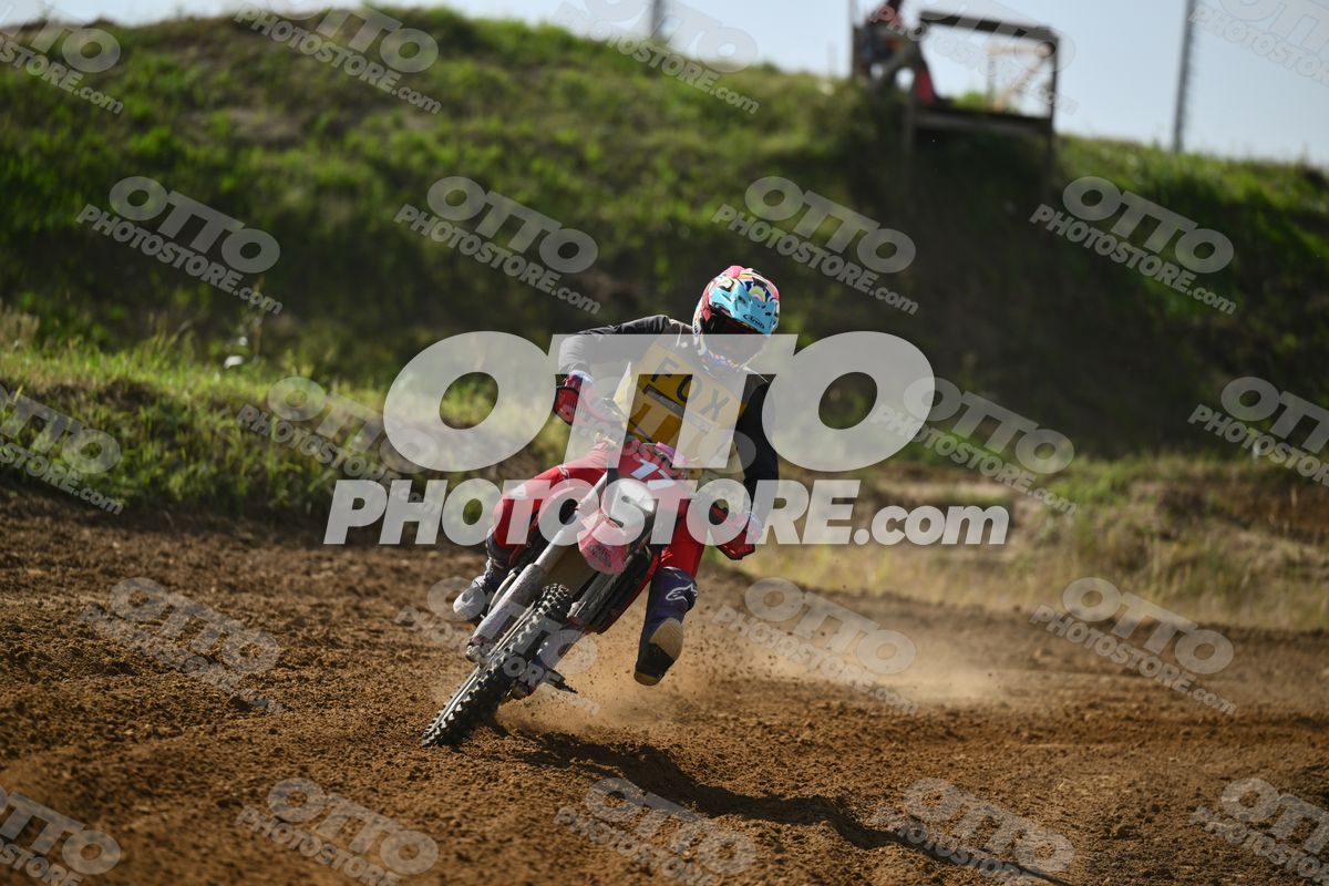 17 · DSH_7591