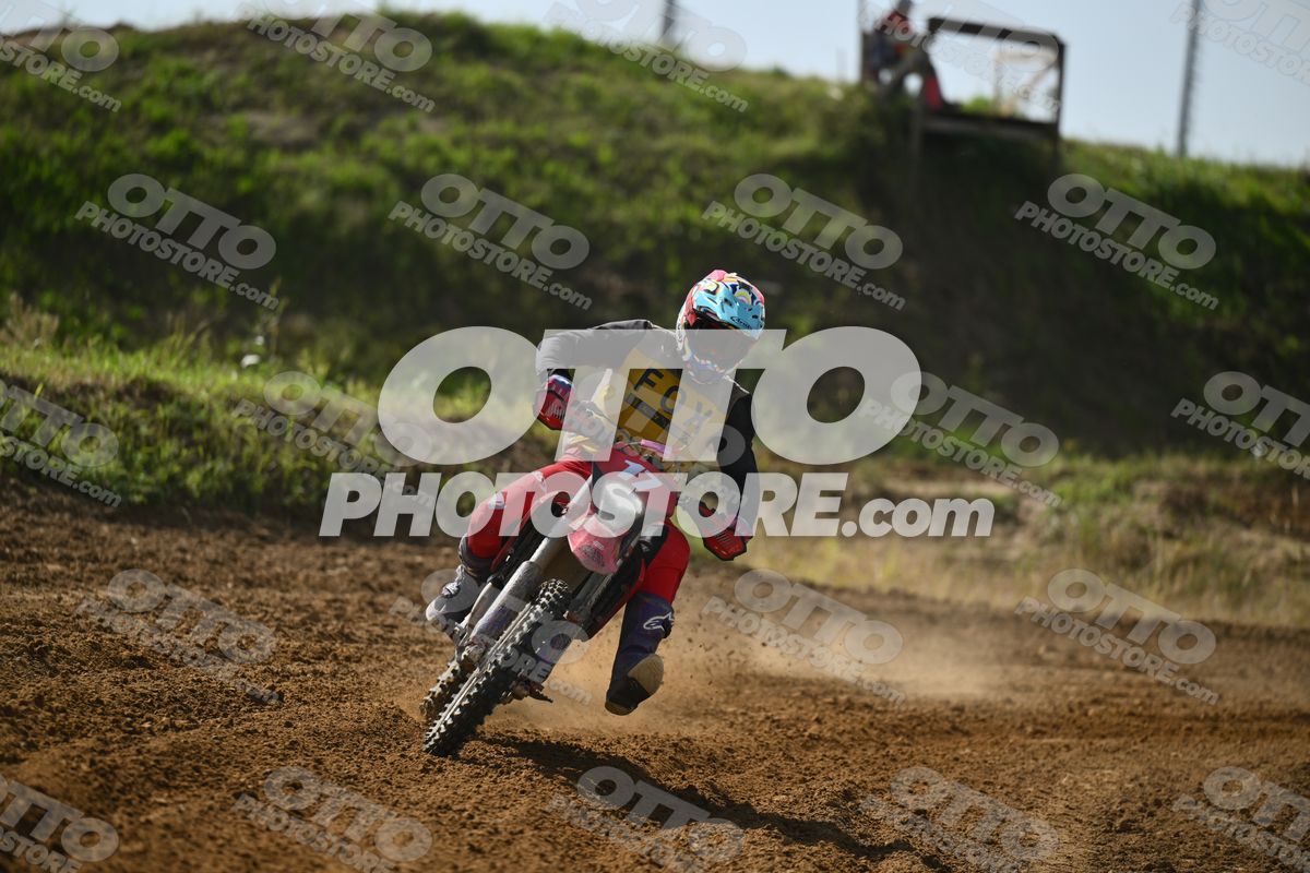17 · DSH_7592