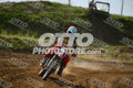 17 · DSH_7593
