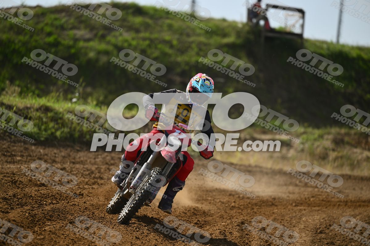 17 · DSH_7593