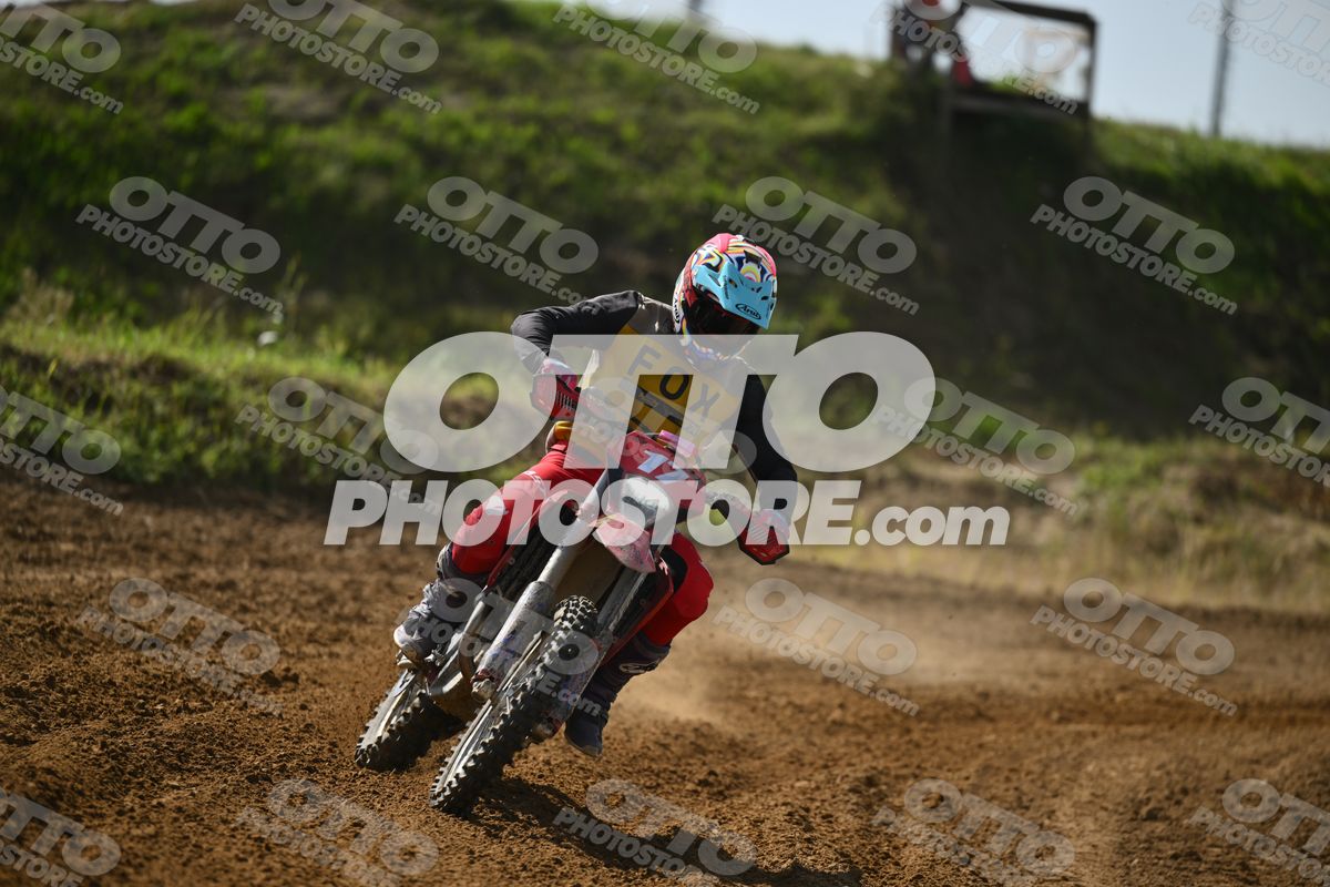 17 · DSH_7594
