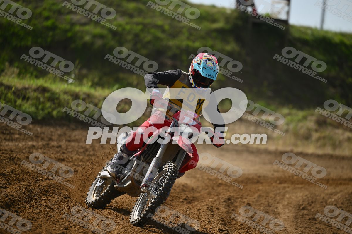 17 · DSH_7595