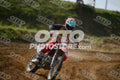 17 · DSH_7596