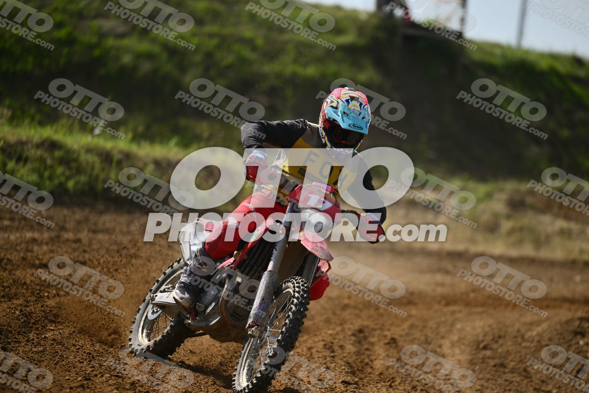 17 · DSH_7596