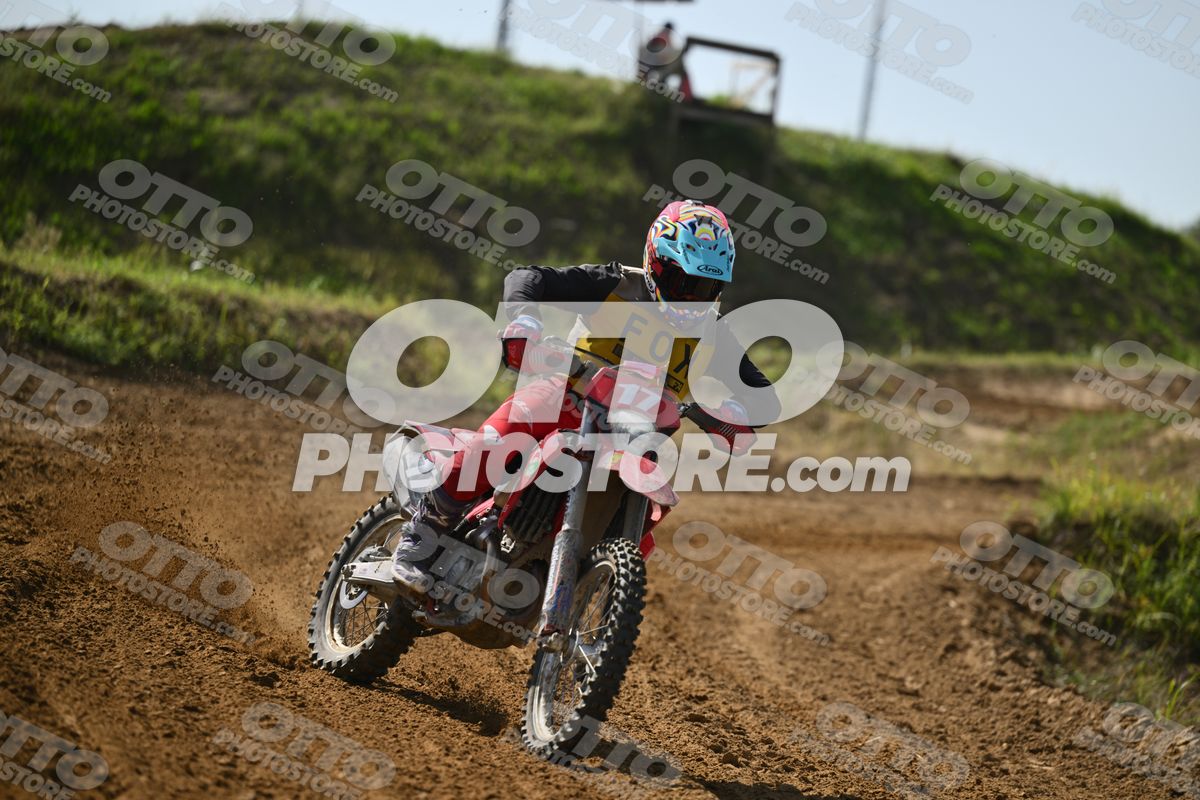 17 · DSH_7597