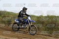 459 · DSH_7603