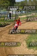 239 · DSH_7604