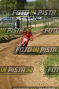 239 · DSH_7605