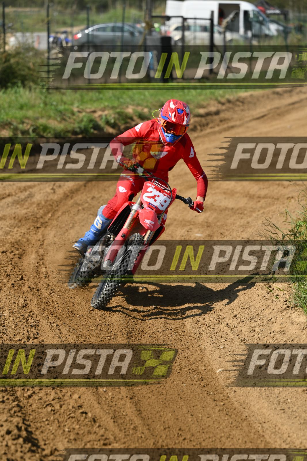 239 · DSH_7607