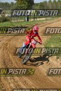 239 · DSH_7608