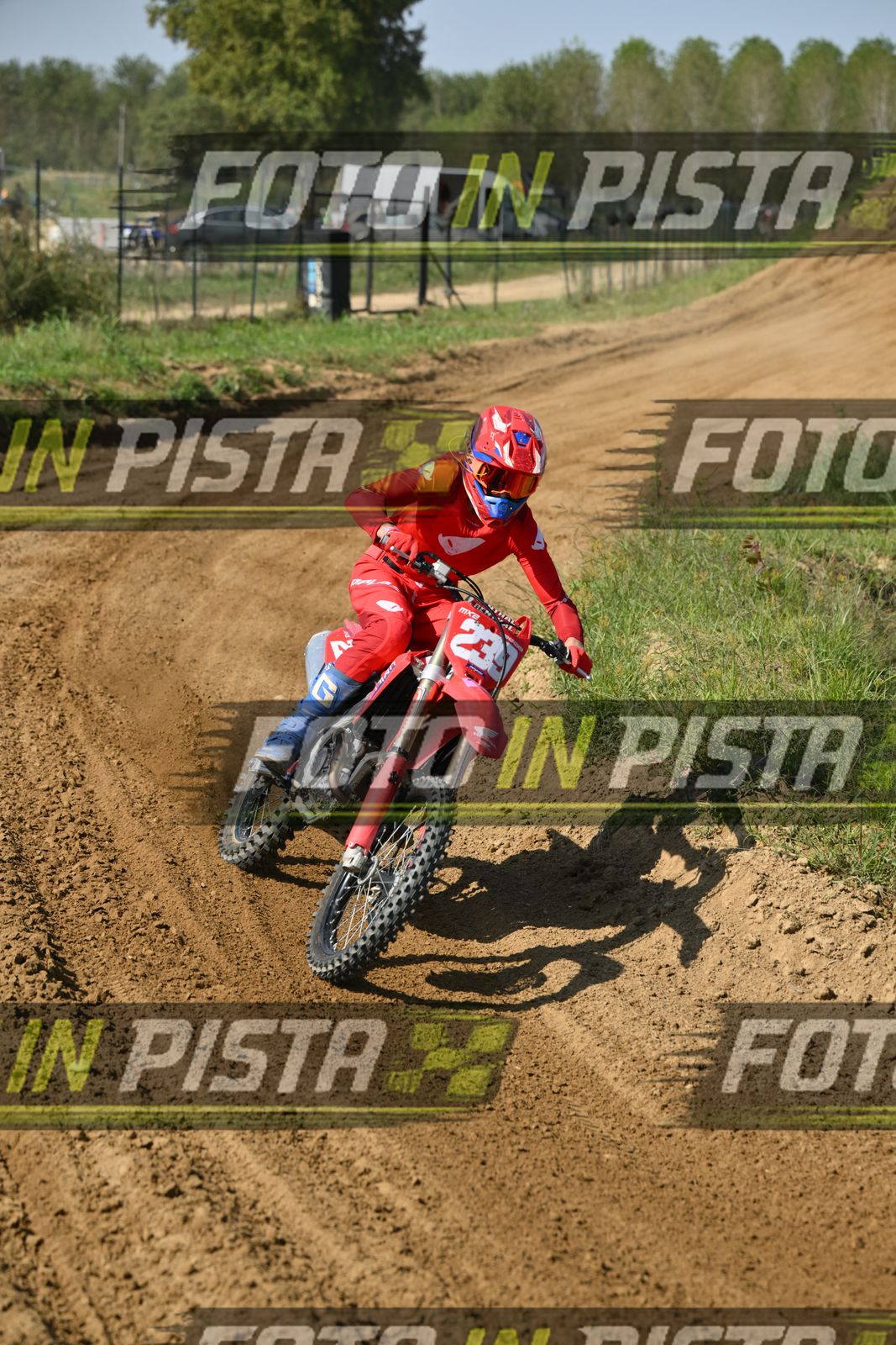 239 · DSH_7609
