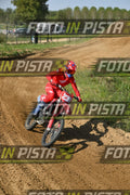 239 · DSH_7610