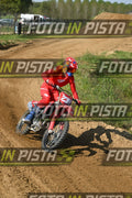239 · DSH_7611