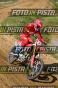 239 · DSH_7613