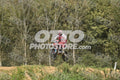 958 · DSH_7619