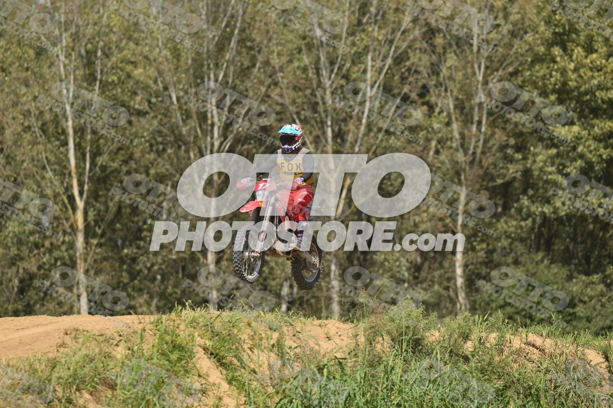 17 · DSH_7641