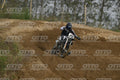 19 · DSH_7644