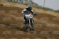 19 · DSH_7646