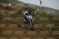 19 · DSH_7647