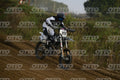 19 · DSH_7648