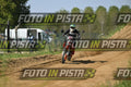 7 · DSH_7649