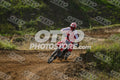 958 · DSH_7655