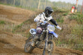 46 · DSH_7655