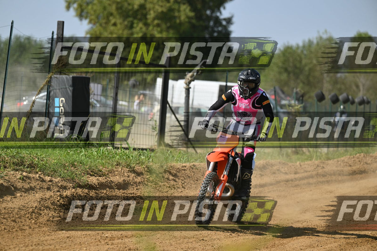 KTM - PINK WHITE SHIRT · DSH_7656
