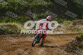 958 · DSH_7658