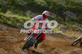958 · DSH_7664