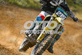 215 · DSH_7677