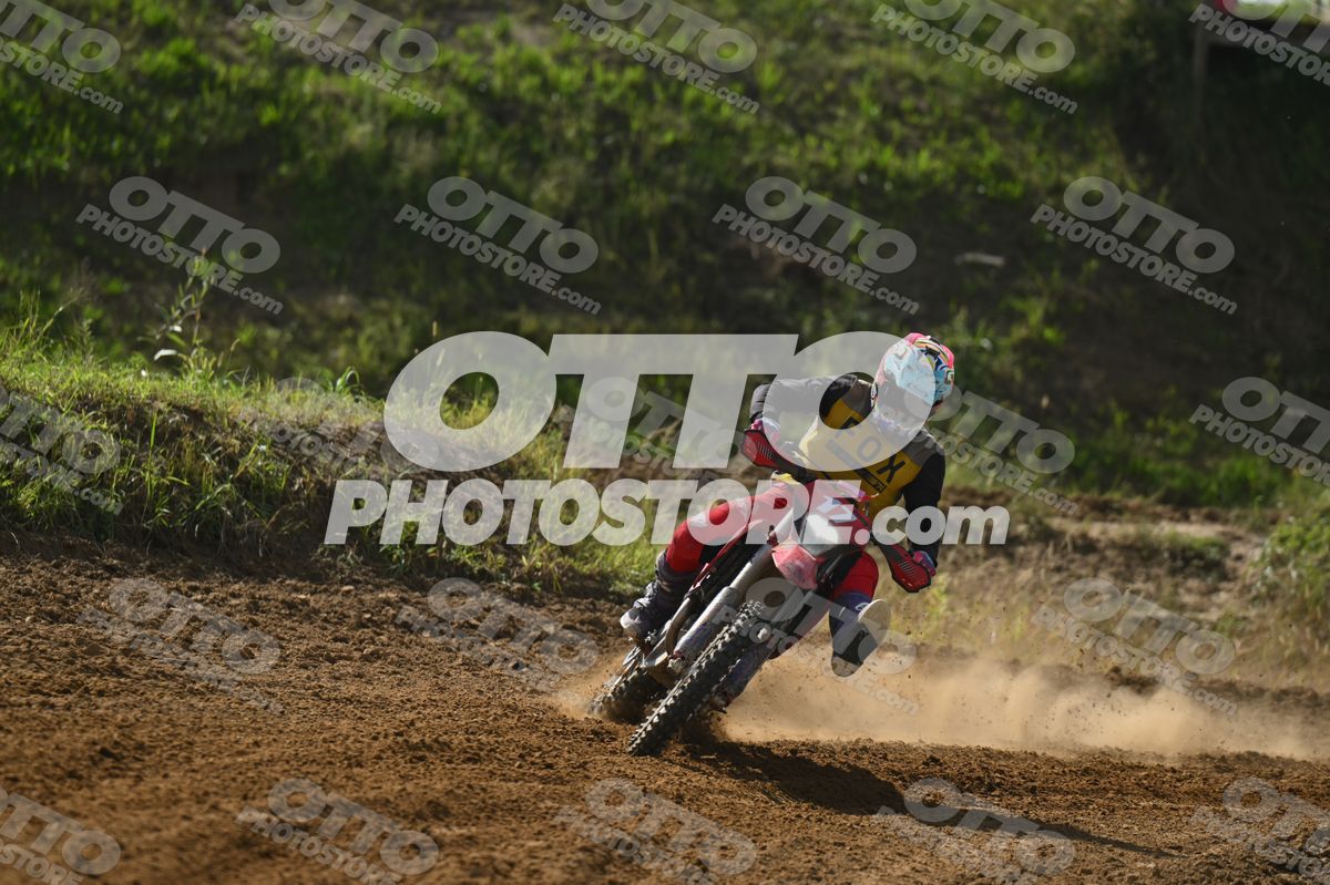 17 · DSH_7678