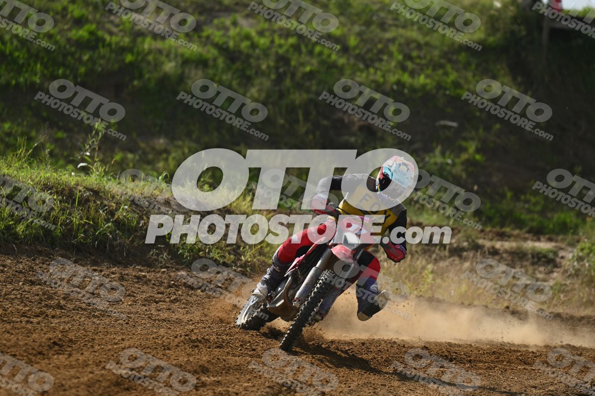 17 · DSH_7679