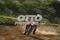 17 · DSH_7681