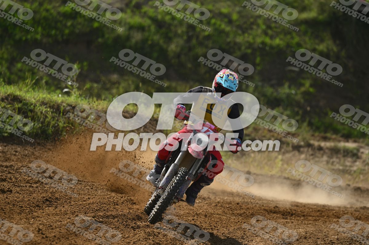 17 · DSH_7683