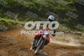 17 · DSH_7685