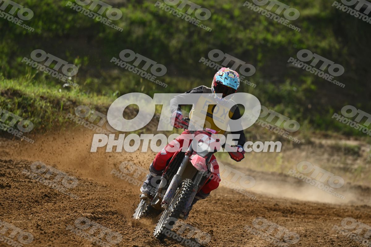 17 · DSH_7685