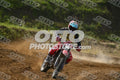 17 · DSH_7686