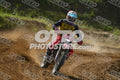 17 · DSH_7688