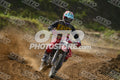17 · DSH_7689