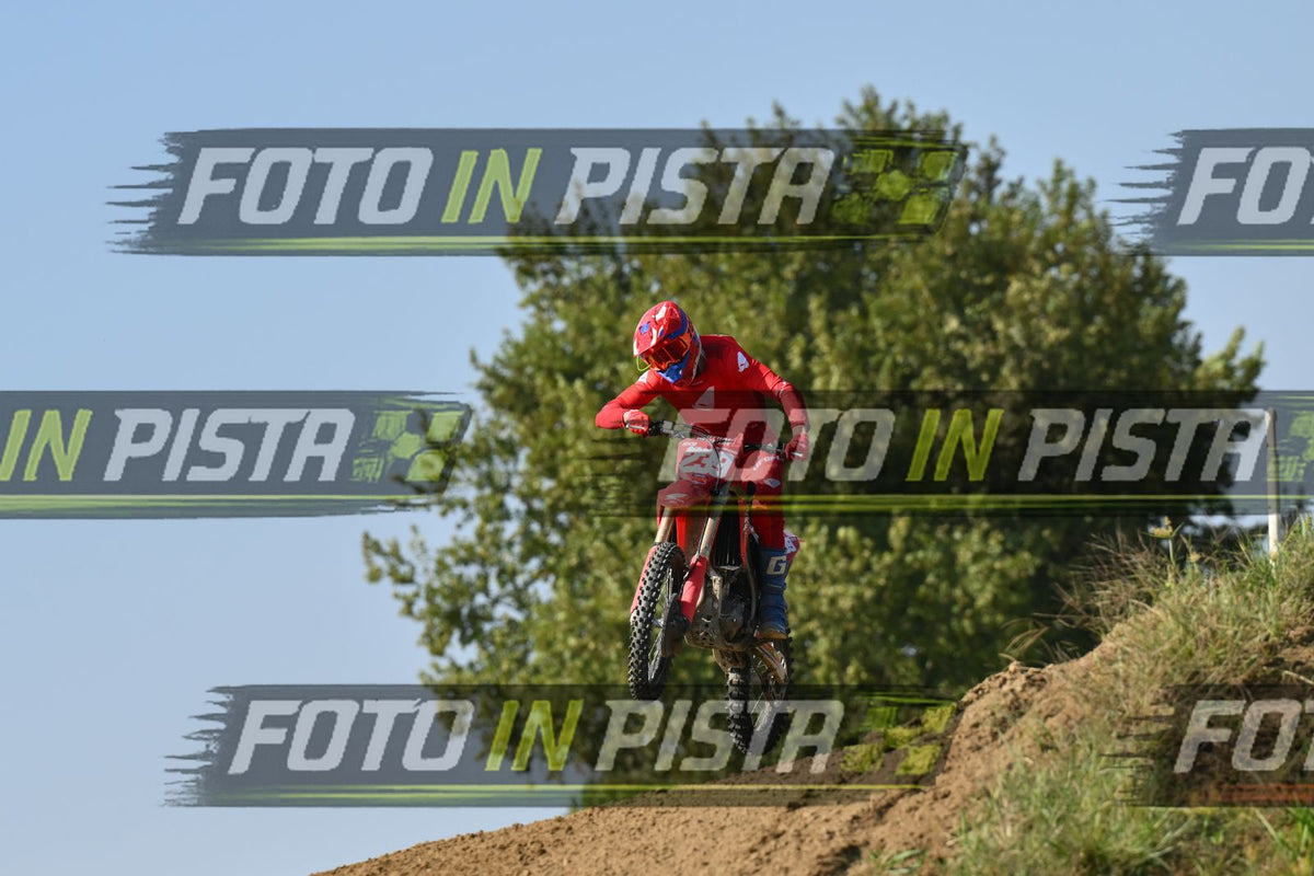 239 · DSH_7709