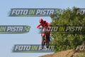 239 · DSH_7712